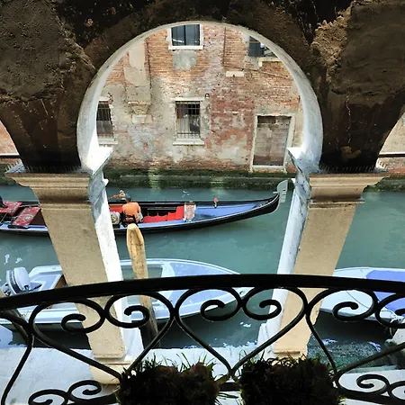 Red Rose Venedig